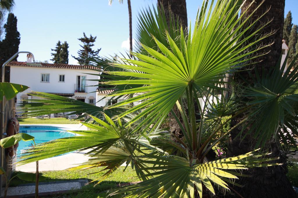 Banus Lodge Marbella Exteriér fotografie