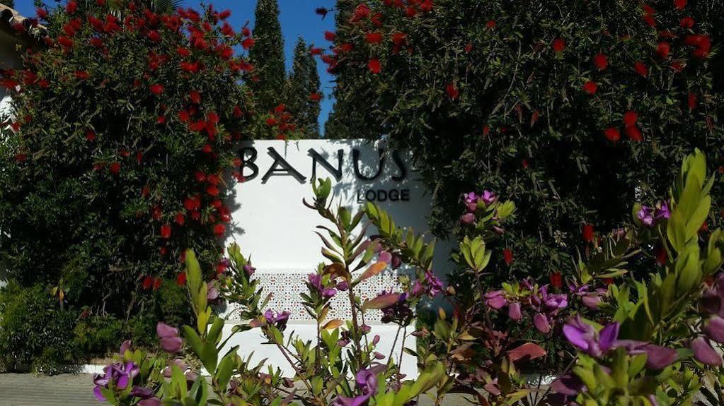 Banus Lodge Marbella Exteriér fotografie
