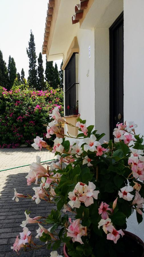 Banus Lodge Marbella Exteriér fotografie